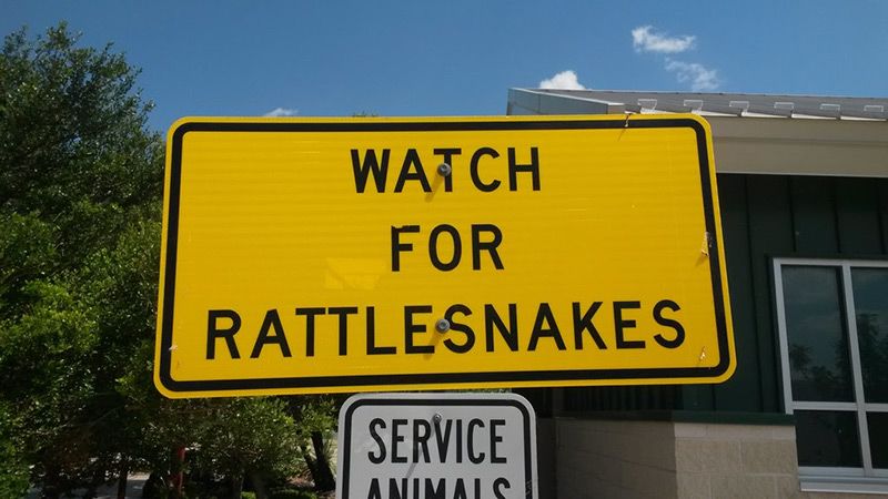 sign warning about rattlesnakes